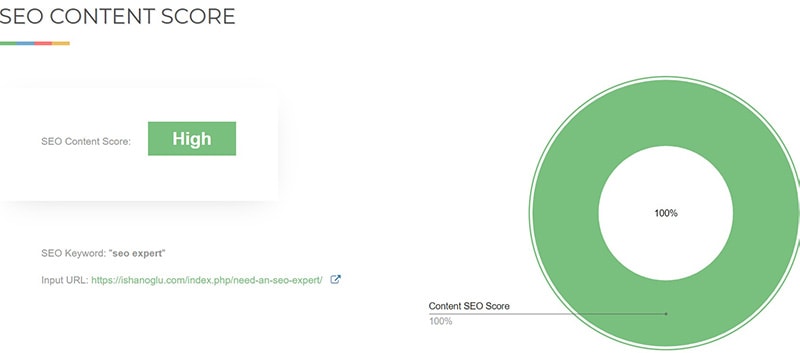 SEO-analysis-report-of-need-an-SEO-expert-article