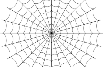 spider-web display image