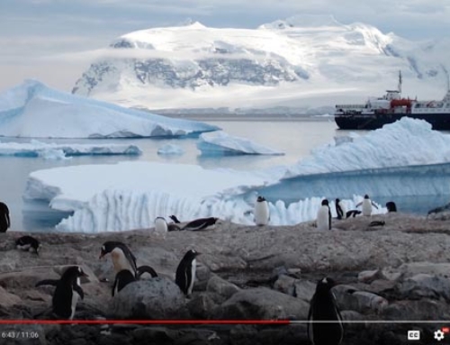 Personal Documentary About Antarctica